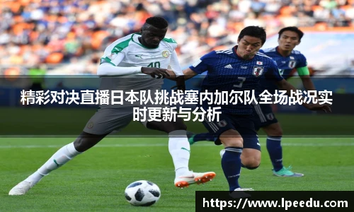彩神VI首页官网